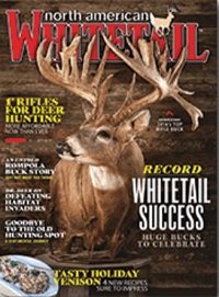 Whitetail