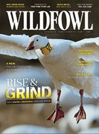 Wildfowl