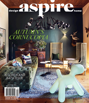 ASPIRE DESIGN AND HOME - Fall 2022